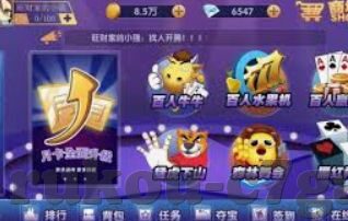 世界杯投注百分比-世界杯投注百分比，一场全球狂欢的金融博弈